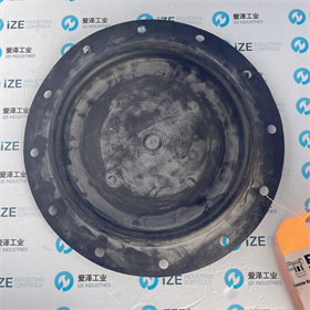 FISHER膜片2E791902202 愛澤工業(yè) izeindustries (2).JPG