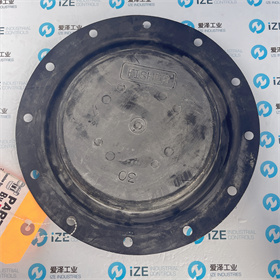 FISHER膜片2E791902202 愛澤工業(yè) izeindustries (3).JPG