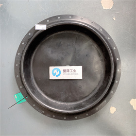 FISHER膜片2N130902202 愛澤工業(yè) izeindustries (1).JPG