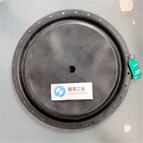 FISHER膜片2N130902202 愛澤工業(yè) izeindustries (2).JPG