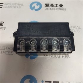 sew繼電器BG1.5 8253846 愛(ài)澤工業(yè) izeindustries (2).jpg