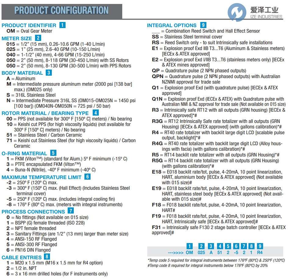 FLOMEC流量計OM025A001-816F19 愛澤工業(yè) ize-industries (2).png