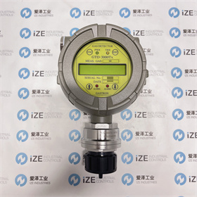 GASTRON氣體檢測(cè)儀GTD-3000TX(02)  愛澤工業(yè) izeindustries.JPG