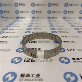 USA公差環(huán)AN8519S 愛澤工業(yè) izeindustries (1).JPG