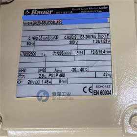 BAUER減速機(jī)BK20-65UD08LA82-TF-D-FV-KESX010A8SP 愛澤工業(yè) izeindustries (4).jpg