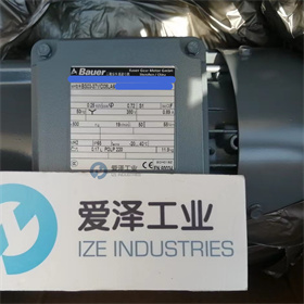 BAUER減速機(jī)BS03-37VD08LA6 愛澤工業(yè) izeindustries (6).jpg