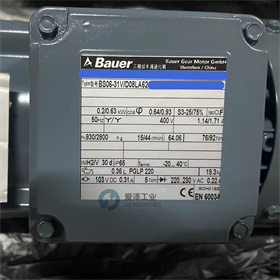 BAUER減速機(jī)BS06-31VD08LA62-ZW 愛澤工業(yè) izeindustries (4).jpg