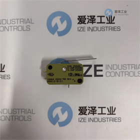 SAIA開關XGG12-81-P23Z1 愛澤工業(yè) izeindustries (2).jpg