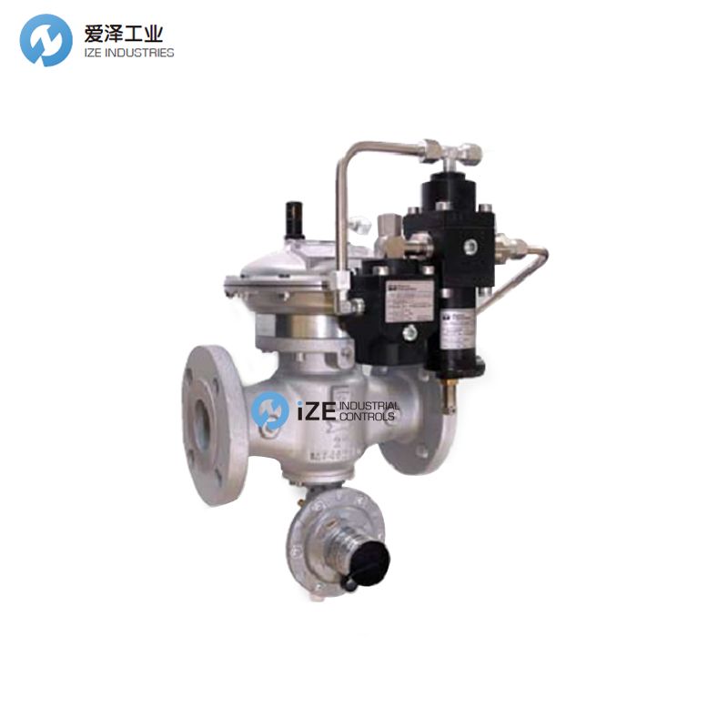 FIORENTINI 調(diào)壓閥DIXI25及維修包 izeindustries 愛(ài)澤工業(yè).jpg