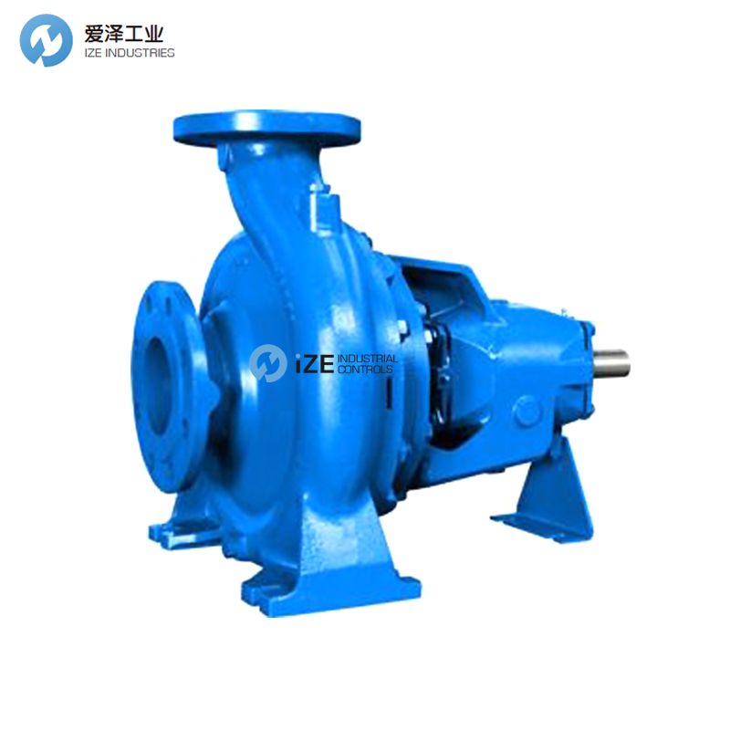 美國(guó)ROBUSCHI離心泵RNS100-250 izeindustries 愛(ài)澤工業(yè).jpg