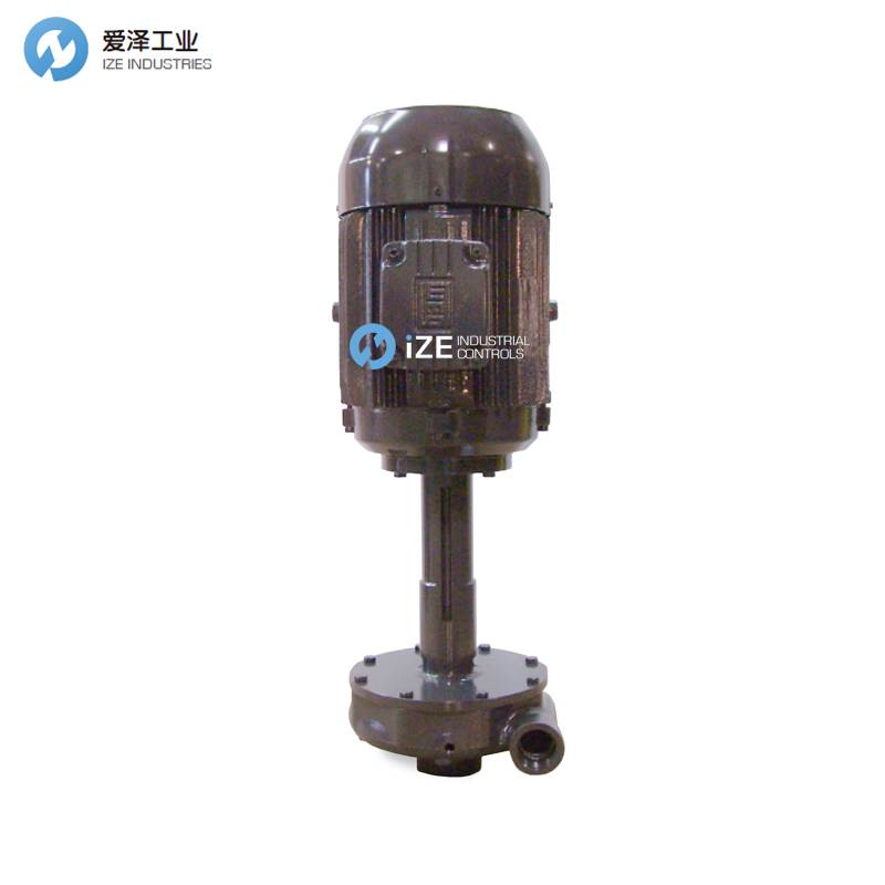 GUSHER垂直泵11031NS-B愛澤工業(yè) izeindustries.jpg