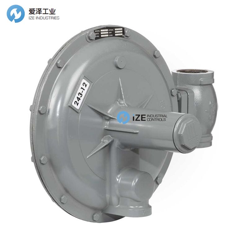 SENSUS調(diào)壓閥243-8-2 愛澤工業(yè)izeindustries (2).jpg