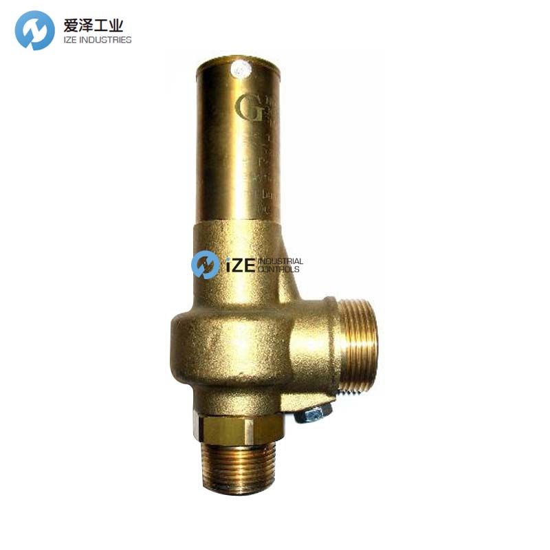 NUOVA GENERAL安全閥G25系列 愛(ài)澤工業(yè)izeindustries.jpg
