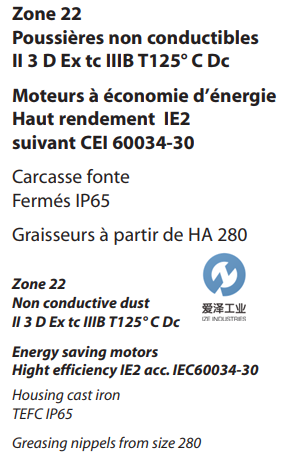 VEM電機(jī)IE2-W21F系列 愛(ài)澤工業(yè)izeindustries.png