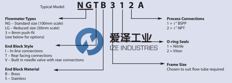 PLATON-流量計NG系列 愛澤工業(yè) izeindustries (2).png