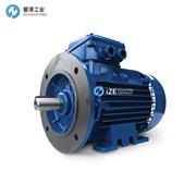 瑞典BEVI電機2SIEIE2系列 示例2SIEL90S4