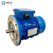 INGETRANS電機(jī)MS系列