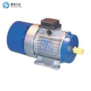 COEL電機(jī)F系列F100LB4 SE